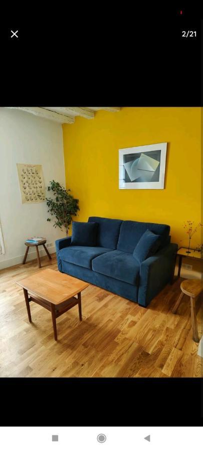 Magnifique Appartement Refait A Neuf Vieux Tours Buitenkant foto